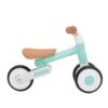 BICICLETA SIN PEDALES TEENY MINT - Imagen 2